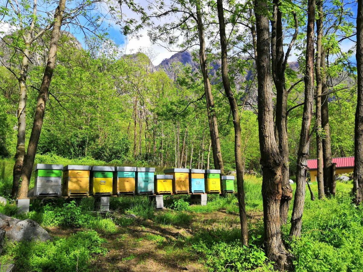 Agriturismo Val Codera Verceia Dış mekan fotoğraf