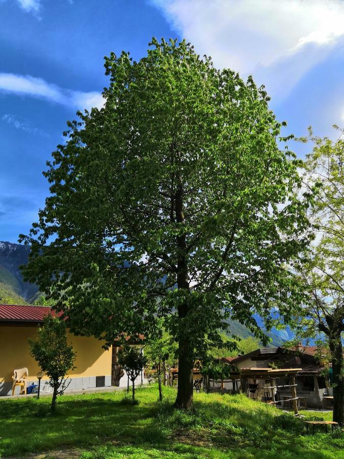 Agriturismo Val Codera Verceia Dış mekan fotoğraf